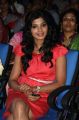 Singam 2 Movie Audio Launch Stills