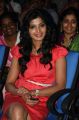 Singam 2 Movie Audio Launch Stills