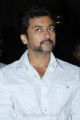 Suriya At Singam 2 Movie Press Meet Stills