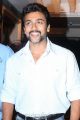 Suriya At Singam 2 Movie Press Meet Stills