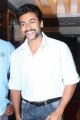 Suriya At Singam 2 Movie Press Meet Stills