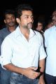 Suriya At Singam 2 Movie Press Meet Stills