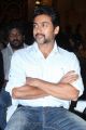 Suriya At Singam 2 Movie Press Meet Stills