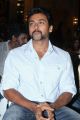 Suriya At Singam 2 Movie Press Meet Stills