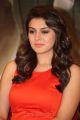 Hansika Motwani At Singam 2 Movie Press Meet Stills