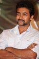 Suriya At Singam 2 Movie Press Meet Stills