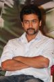 Suriya At Singam 2 Movie Press Meet Stills