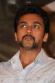 Suriya At Singam 2 Movie Press Meet Stills