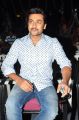 Actor Suriya @ Singam 3 Movie Press Meet Stills