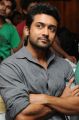 Actor Surya at Singam (Yamudu-2) Success Meet Stills
