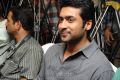 Actor Suriya at Singam (Yamudu-2) Success Meet Stills