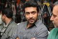 Actor Suriya at Singam (Yamudu-2) Success Meet Stills