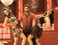 Jr.NTR, Trisha, Karthika Nair in Singamagan Movie Stills