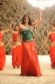 Actress Richa Gangopadhyay in Sir Vanthara Tamil Movie Stills