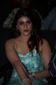 Actress Mannara Chopra @ Sita Pre Release Function Stills