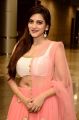 Actress Sita Narayan Hot Pics in Pink Lehenga Choli Dress