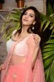 Actress Sita Narayan Hot Pics in Pink Lehenga Choli Dress