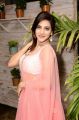 Actress Sita Narayan Hot Pics in in Pink Designer Lehenga Choli