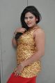 Actress Sitara Hot Photos @ Lion Press Meet