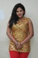 Telugu Actress Sithara Hot Photos @ Lion Press Meet