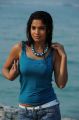 Siva Kesav Telugu Movie Stills