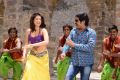 Hot Gurlin Chopra, Srihari in Siva Keshav Movie Stills