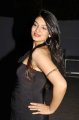 Siya Gautham Hot Photo Shoot Gallery