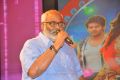 MM Keeravani @ Size Zero Movie Audio Launch Stills