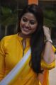 Tamil Actress Sneha in Yellow Churidar Photos