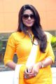 Tamil Actress Sneha in Yellow Churidar Photos