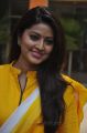 Tamil Actress Sneha in Yellow Churidar Photos