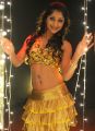 Chaddi Gang Movie Actress Sneha Kapoor Hot Stills