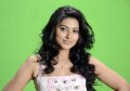 Sneha Latest Photo Shoot Stills