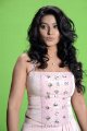 Sneha Latest Photo Shoot Stills