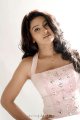 Sneha Latest Photo Shoot Stills