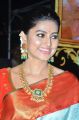 Actress Sneha Saree Photos @ Vinaya Vidheya Rama Pre Release