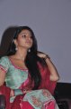 Actress Sneha Press Meet Stills