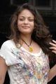 Telugu Actress Sneha Ullal New Images