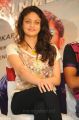 Sneha Ullal at Action with Entertainment Movie Press Meet
