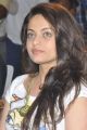 Beautiful Sneha Ullal Photos at Park Audio Release