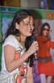 Beautiful Sneha Ullal Photos at Park Audio Release