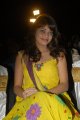 Sneha Ullal Cute Stills