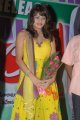 Sneha Ullal Cute Stills