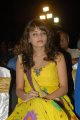 Sneha Ullal Cute Stills