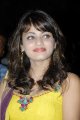 Sneha Ullal Cute Stills