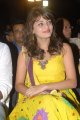 Sneha Ullal Cute Stills