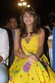 Sneha Ullal Cute Stills