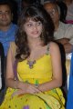 Sneha Ullal Cute Stills