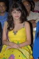 Sneha Ullal Cute Stills