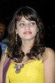 Sneha Ullal Cute Stills